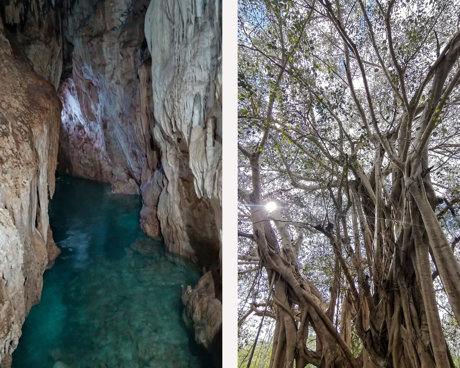 Les 3 Cenotes de Cuzama, une expérience unique et peu touristique de l'itinéraire