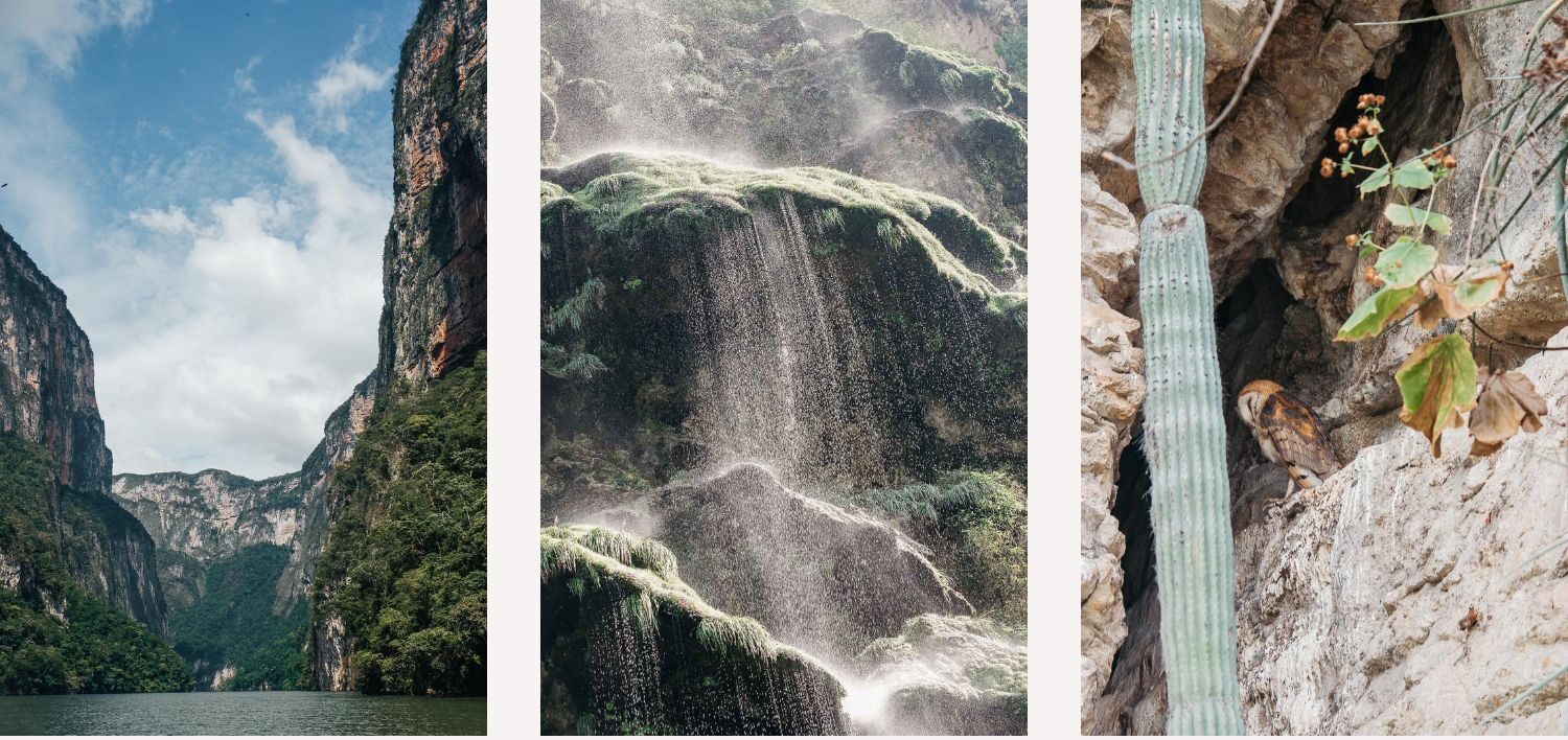 A complete guide to the Sumidero Canyon : Canyon del Sumidero, Chiapas, Mexico