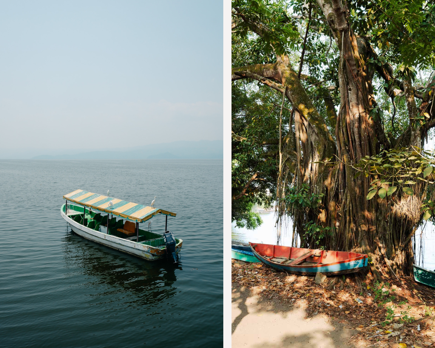 Catemaco - lake; boat, huge trees