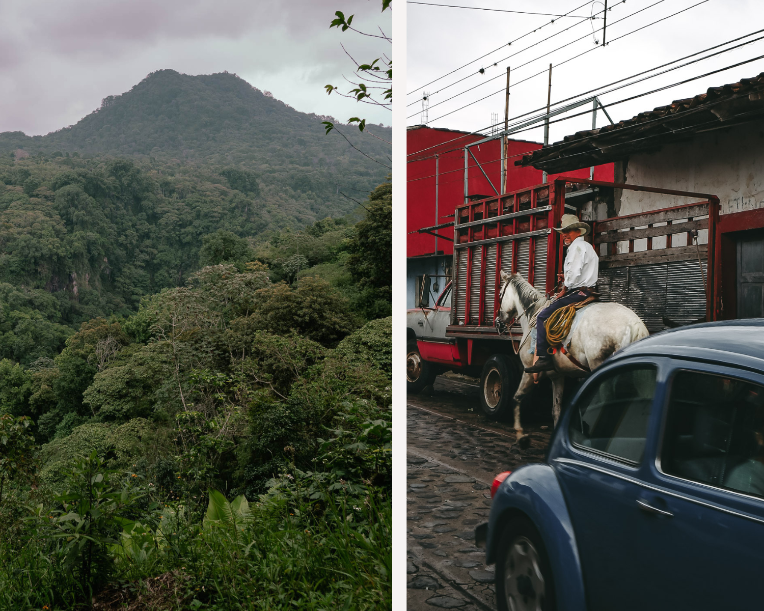 Veracruz Travel Guide : man on a horse - traditional and authentic town in Mexico